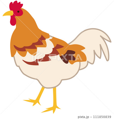 阿波尾鶏　徳島県　観光　名産品　素材 111850839