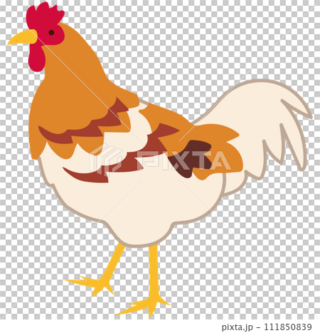 阿波尾鶏　徳島県　観光　名産品　素材 111850839