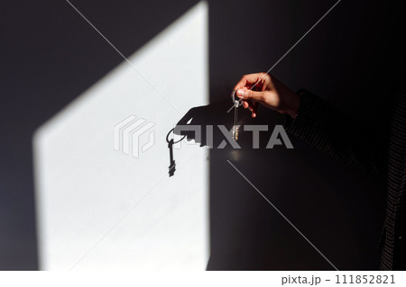 House keys close view. Buying a house background. Real estate concept House keys close view. Buying a house background. Real estate concept 111852821