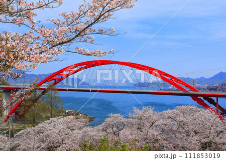 【広島県】桜が満開の第二音戸大橋（音戸の瀬戸） 111853019
