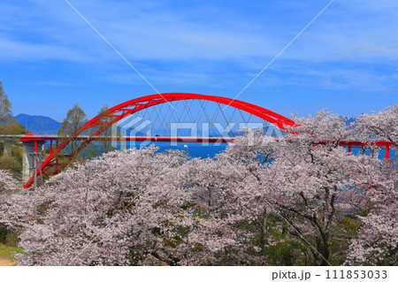 【広島県】桜が満開の第二音戸大橋(音戸の瀬戸) 【広島県】桜が満開の第二音戸大橋(音戸の瀬戸) 111853033