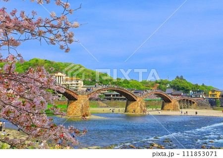 【山口県】満開の桜と錦帯橋 111853071