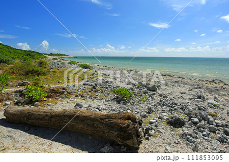 沖縄　石垣島　白保海岸の美しい海 111853095