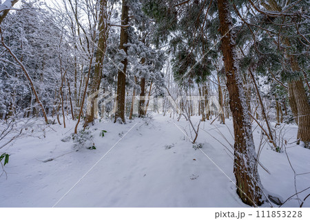 蒜山の森の雪景色の風景 111853228