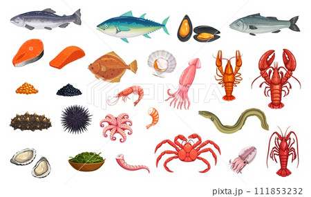 Cartoon seafood and fish, vector food. Shrimp, lobster and crab, oyster and shellfish, squid, octopus and crayfish, scallop, mussel and caviar. Sea cucumber, tuna, eel, trout and prawn seaweed, urchin 111853232