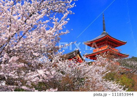 【京都府】快晴の清水寺の三重塔と満開の桜 111853944