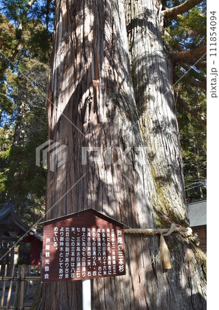 戸隠の三本杉　長野 111854094