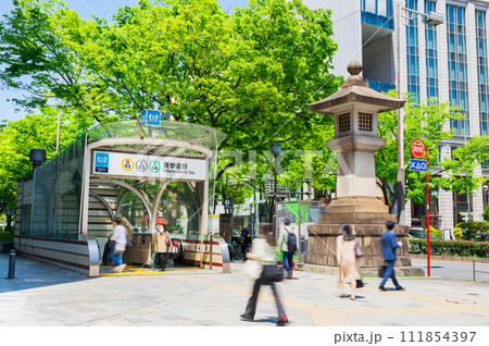 東京　春の表参道 111854397