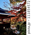 日本家屋と紅葉 111854572