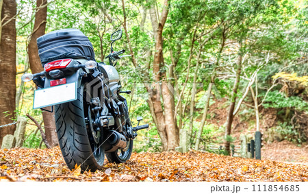 バイクライフ 紅葉ツーリング 静岡県 バイクライフ 紅葉ツーリング 静岡県 111854685