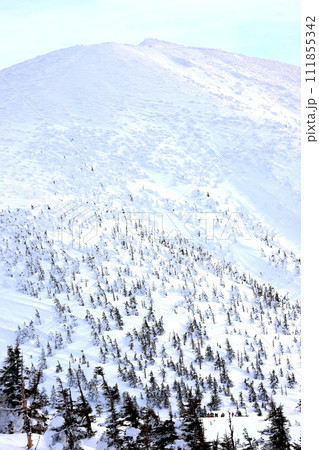 青森県八甲田山頂公園から望む冬の赤倉岳 111855342