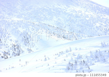 青森県八甲田山頂公園から望む雪景色 青森県八甲田山頂公園から望む雪景色 111855349