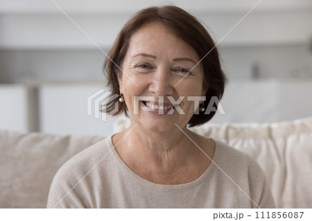 Positive mature older retired woman home head shot portrait Positive mature older retired woman home head shot portrait 111856087
