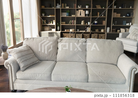Living room interior with white couch and wall-mounted shelves 111856318