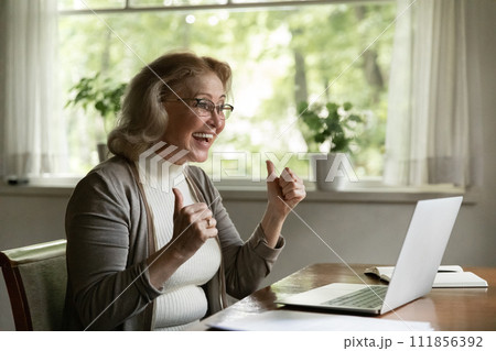 Emotional old lady celebrate solving business problem show thumbs up 111856392