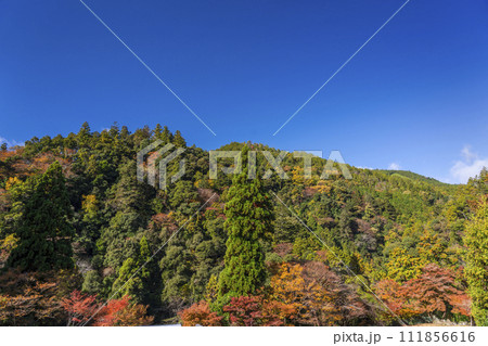 京都高雄山の紅葉 京都高雄山の紅葉 111856616