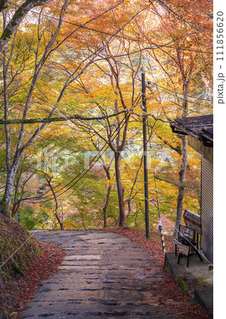 京都高雄山の紅葉 神護寺へ向かう参道 京都高雄山の紅葉 神護寺へ向かう参道 111856620
