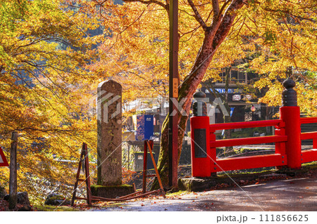 京都高雄の紅葉 清滝川に架かる朱色の高雄橋 京都高雄の紅葉 清滝川に架かる朱色の高雄橋 111856625