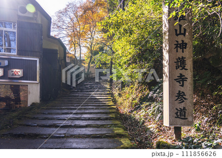 秋の京都　高雄山神護寺参道 111856626