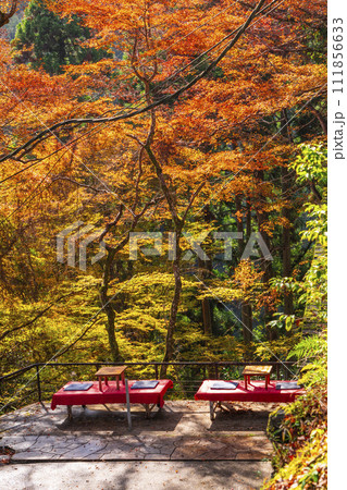 秋の京都　高雄山神護寺参道　紅葉に包まれた高雄茶屋 111856633