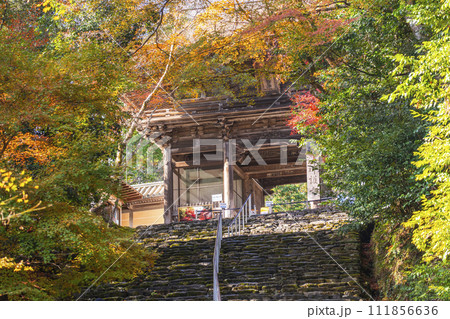 秋の京都　高雄山神護寺　楼門 111856636