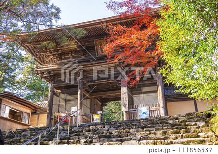 秋の京都 高雄山神護寺 楼門 秋の京都 高雄山神護寺 楼門 111856637
