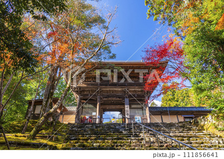 秋の京都　高雄山神護寺　楼門 111856641