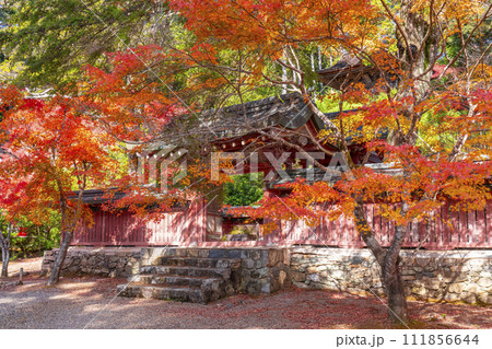 秋の京都高雄 神護寺 紅葉に包まれた和気公霊廟 秋の京都高雄 神護寺 紅葉に包まれた和気公霊廟 111856644