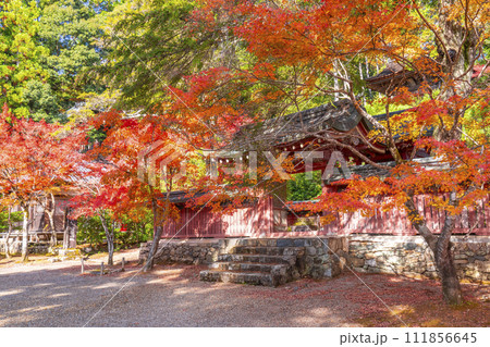 秋の京都高雄 神護寺 紅葉に包まれた和気公霊廟 秋の京都高雄 神護寺 紅葉に包まれた和気公霊廟 111856645