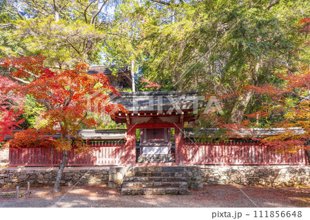 秋の京都高雄 神護寺 紅葉に包まれた和気公霊廟 秋の京都高雄 神護寺 紅葉に包まれた和気公霊廟 111856648