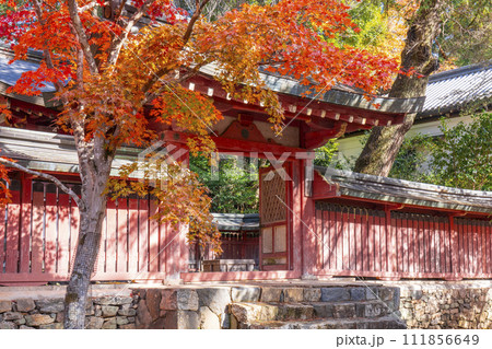 秋の京都高雄 神護寺 紅葉に包まれた和気公霊廟 秋の京都高雄 神護寺 紅葉に包まれた和気公霊廟 111856649