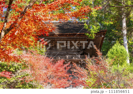 秋の京都高雄　神護寺　紅葉に包まれた鐘楼 111856651