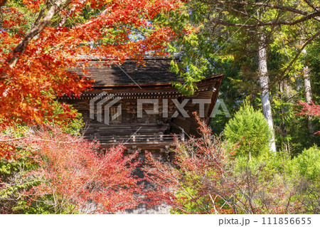 秋の京都高雄 神護寺 紅葉に包まれた鐘楼 秋の京都高雄 神護寺 紅葉に包まれた鐘楼 111856655