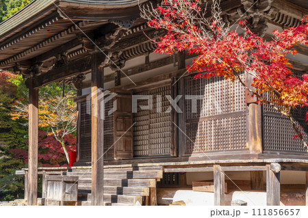 秋の京都高雄　神護寺　紅葉に包まれた五大堂 111856657
