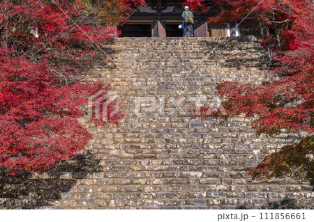 秋の京都高雄　神護寺　紅葉に包まれた金堂と石段 111856661