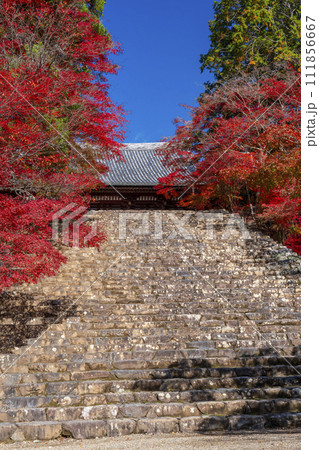 秋の京都高雄　神護寺　紅葉に包まれた金堂と石段 111856667