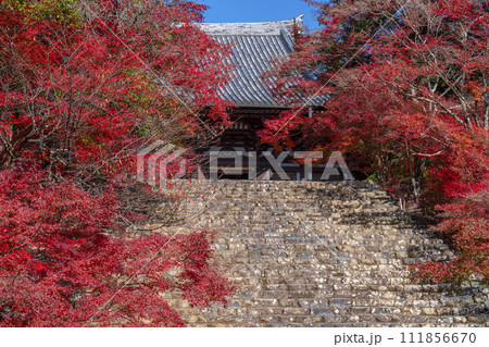 秋の京都高雄 神護寺 紅葉に包まれた金堂と石段 秋の京都高雄 神護寺 紅葉に包まれた金堂と石段 111856670