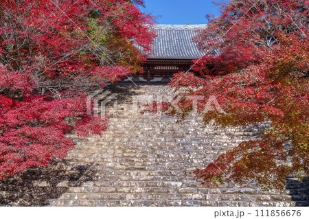 秋の京都高雄 神護寺 紅葉に包まれた金堂と石段 秋の京都高雄 神護寺 紅葉に包まれた金堂と石段 111856676