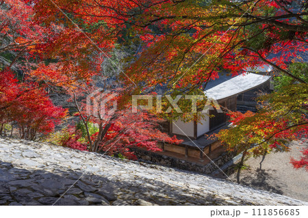 秋の京都高雄　神護寺　紅葉に包まれた五大堂・毘沙門堂 111856685