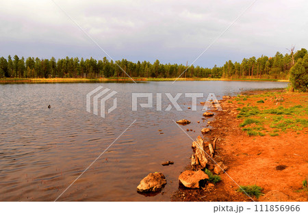 Lake of the Woods Arizona 111856966