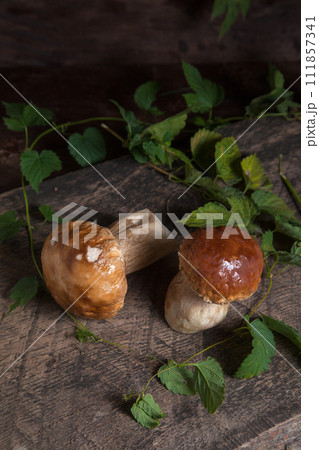 Porcini mushroom commonly known as Boletus Edulis on vintage wooden background.. 111857341