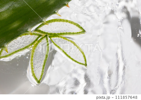 Aloe background, slices and leaves in moisturizing healing gel 111857648