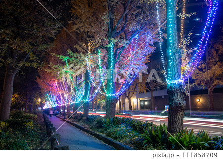 横浜山下公園のとても美しいクリスマスライトアップ 横浜山下公園のとても美しいクリスマスライトアップ 111858709