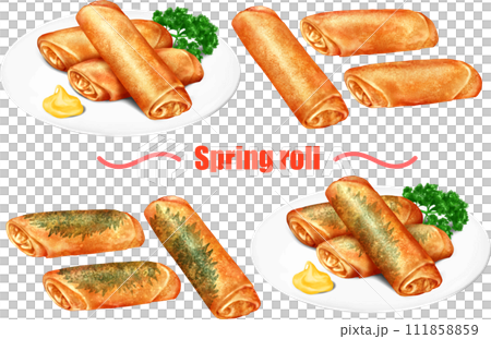 spring roll spring roll chinese food spring roll spring roll chinese food 111858859
