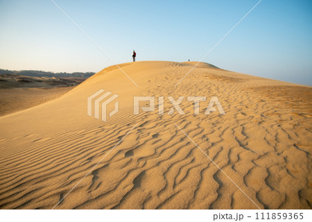 鳥取砂丘の美しい風景 鳥取砂丘の美しい風景 111859365