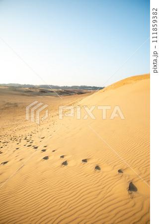 鳥取砂丘の美しい風景 鳥取砂丘の美しい風景 111859382