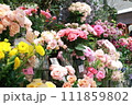 たくさんのピンクの花 111859802