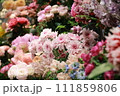 たくさんのピンクの花2 111859806