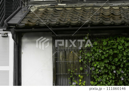 町盛岡の鉈屋町の明治時代の町屋と絡まるアサガオ 町盛岡の鉈屋町の明治時代の町屋と絡まるアサガオ 111860146