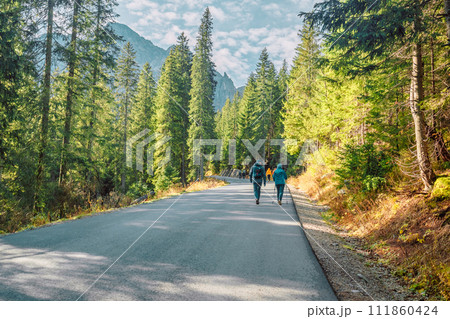 Autumn hike group of tourists on vacation, having a hike in autumn mountains with backpack and hiking sticks, enjoying adventure. Teamwork travel. Autumn hike group of tourists on vacation, having a hike in autumn mountains with backpack and hiking sticks, enjoying adventure. Teamwork travel. 111860424